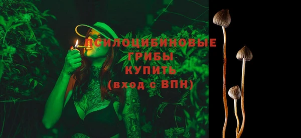 spice Белокуриха
