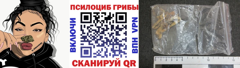 Псилоцибиновые грибы прущие грибы  Верхний Тагил 